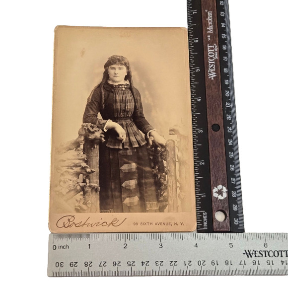 c1880 Photo Young Lady in Fabulous Plaid High Collar Dress Bostwick Cabinet Card - Picture 5 of 6
